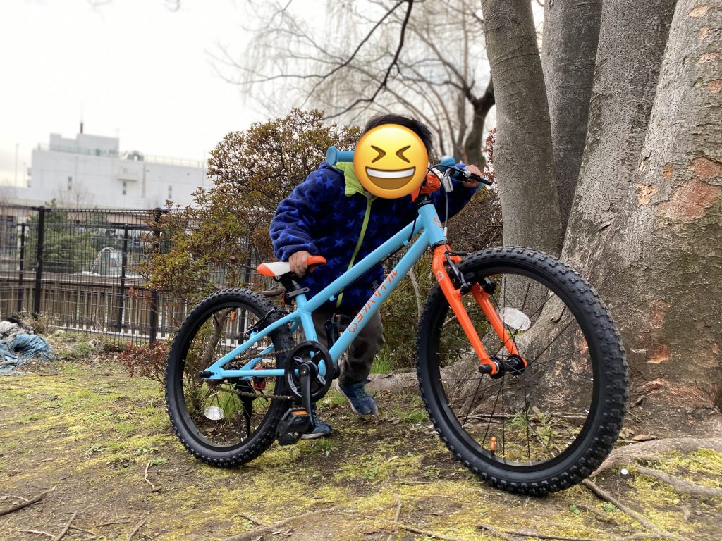 ヨツバサイクル - ぼっちバイカーのブログ